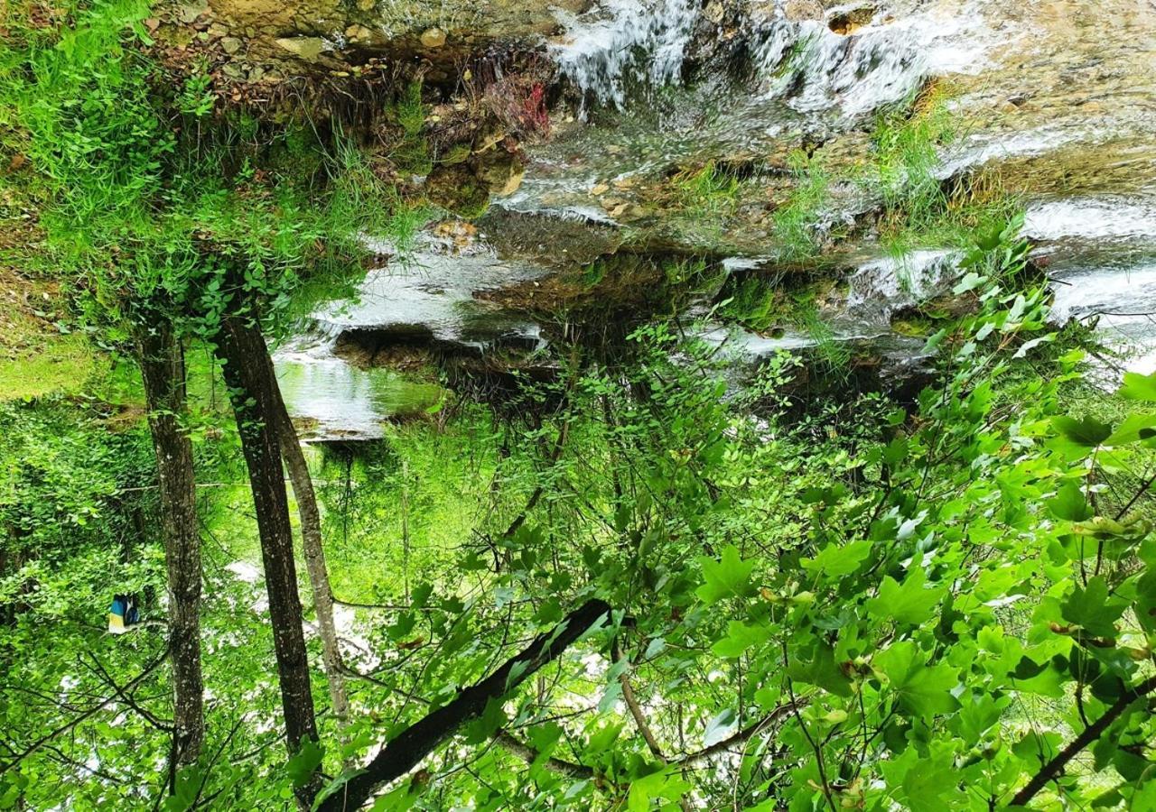 Green Eden Gornji Zvečaj Kültér fotó