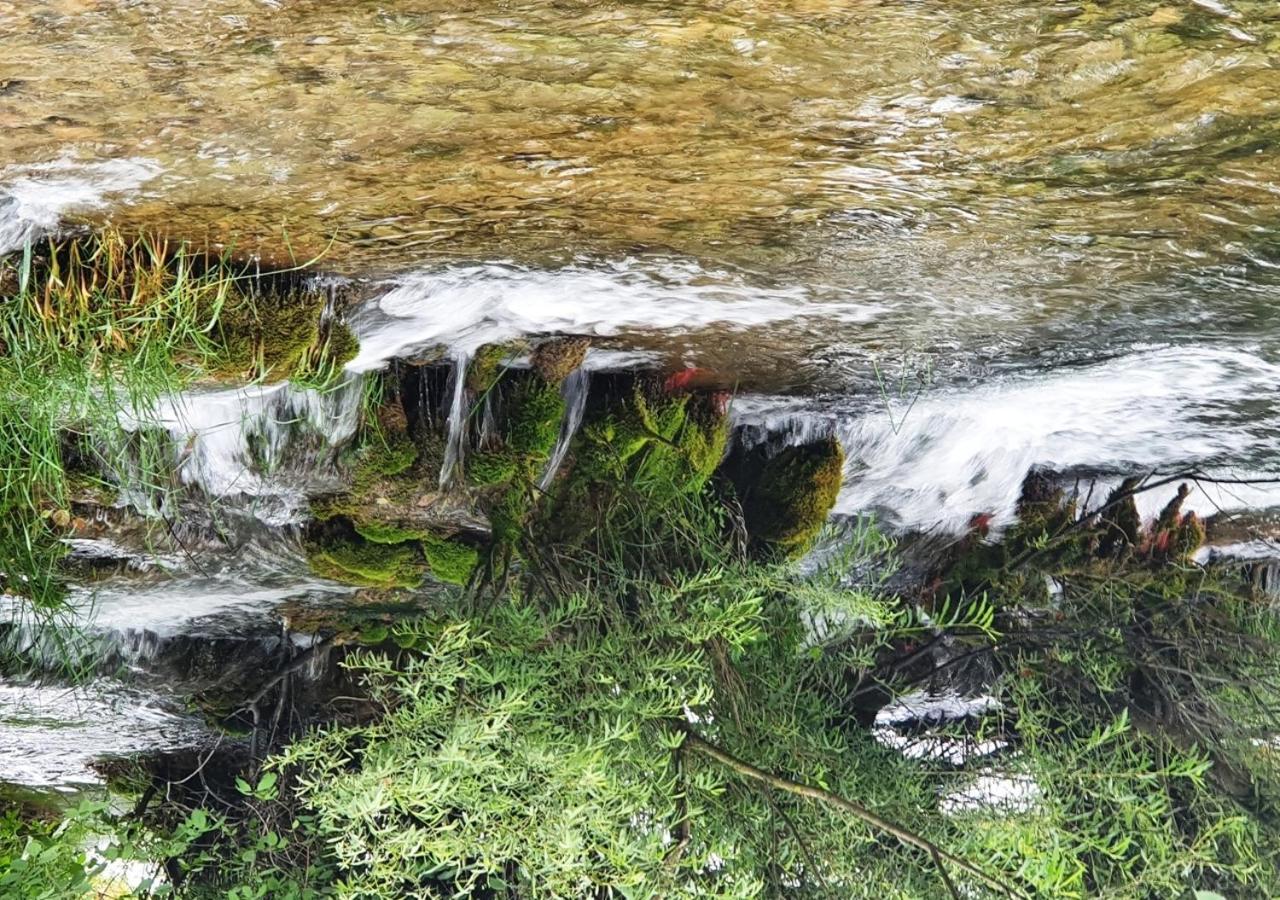 Green Eden Gornji Zvečaj Kültér fotó