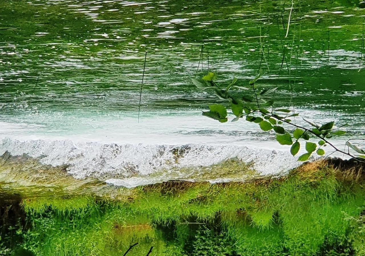 Green Eden Gornji Zvečaj Kültér fotó